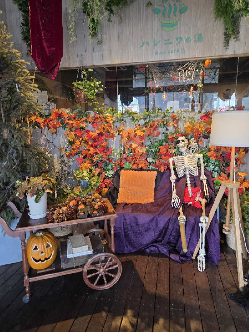 てっちゃんさんのおふろcafé ハレニワの湯のサ活写真