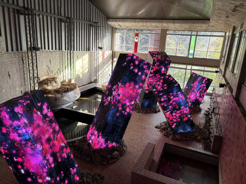 大口さんの御船山楽園ホテル  らかんの湯のサ活写真