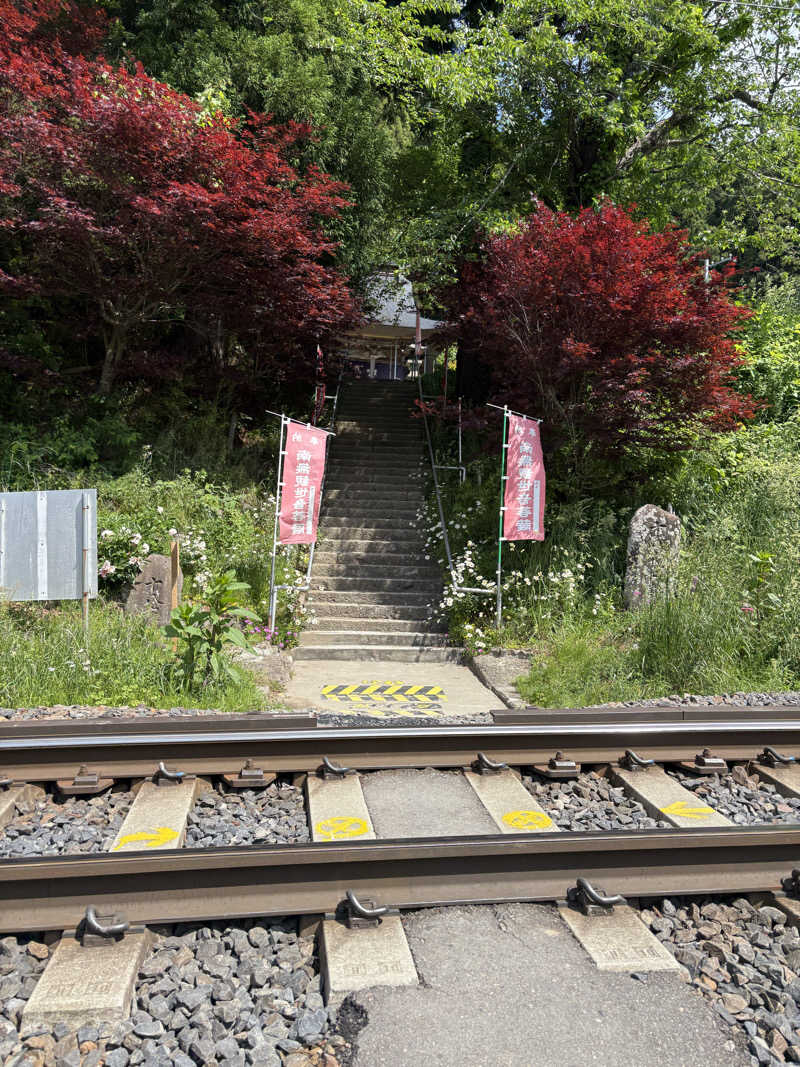 大口さんの旅館 温活サ活のサ活写真