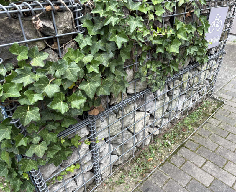 大口さんのサウナ&カプセル キュア国分町のサ活写真