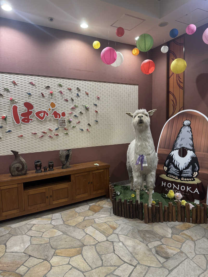 ぐるしんさんの湯の郷ほのか 蘇我店のサ活写真