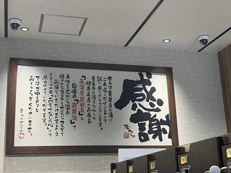TOMOさんの竜泉寺の湯 草加谷塚店のサ活写真