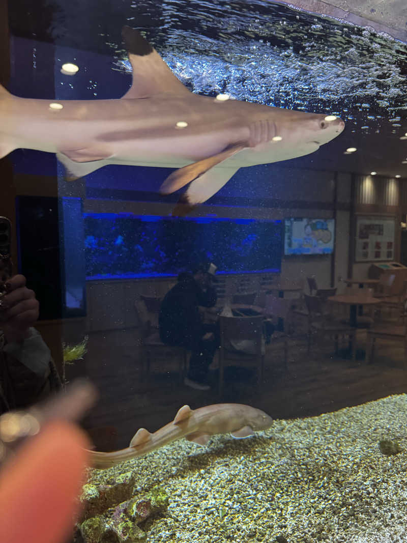 サウ姐おわか♨️さんの竹取温泉 灯りの湯のサ活写真