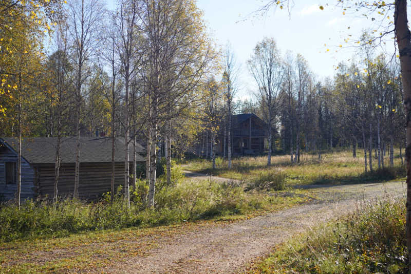 らむねさんのIsokenkäisten Klubiのサ活写真