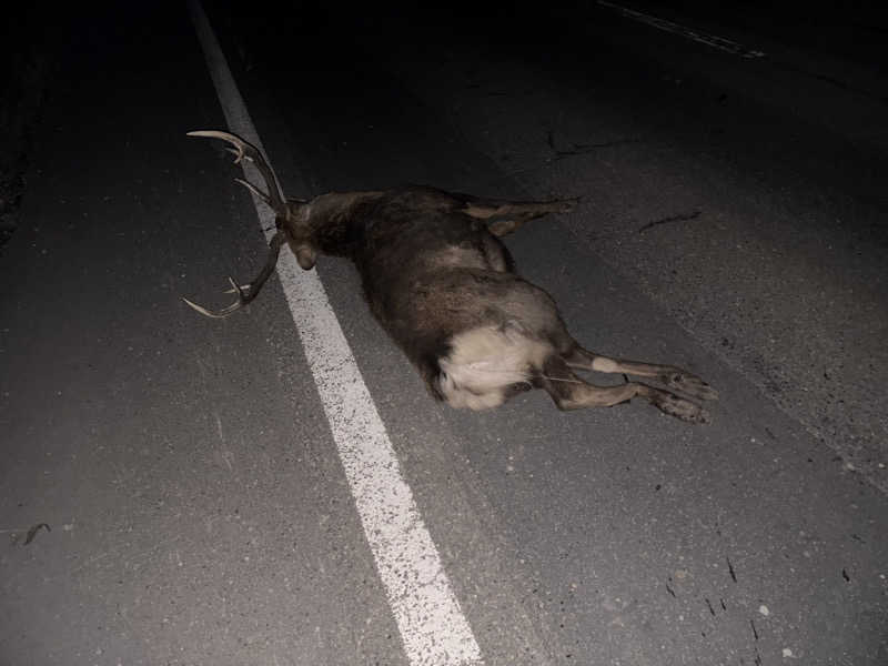 ザクおじさんの十勝エアポートスパ そらのサ活写真