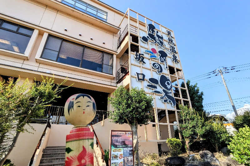 こけし（男湯）さんの駿河の湯 坂口屋のサ活写真