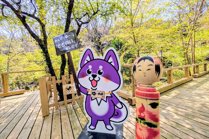 こけし（男湯）さんのモダン湯治 おんりーゆーのサ活写真