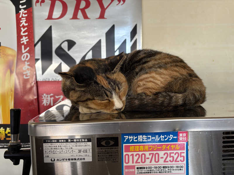 tae🐱さんの利尻富士温泉のサ活写真