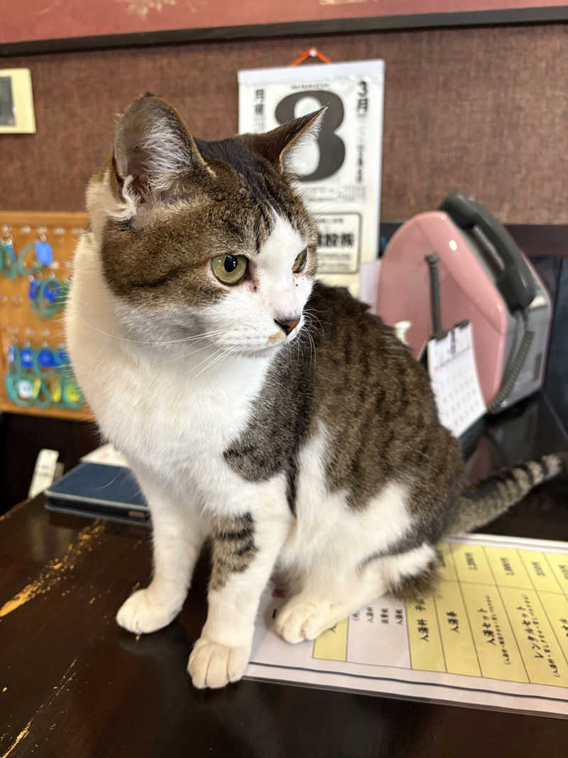 tae🐱さんのかくのだて温泉のサ活写真