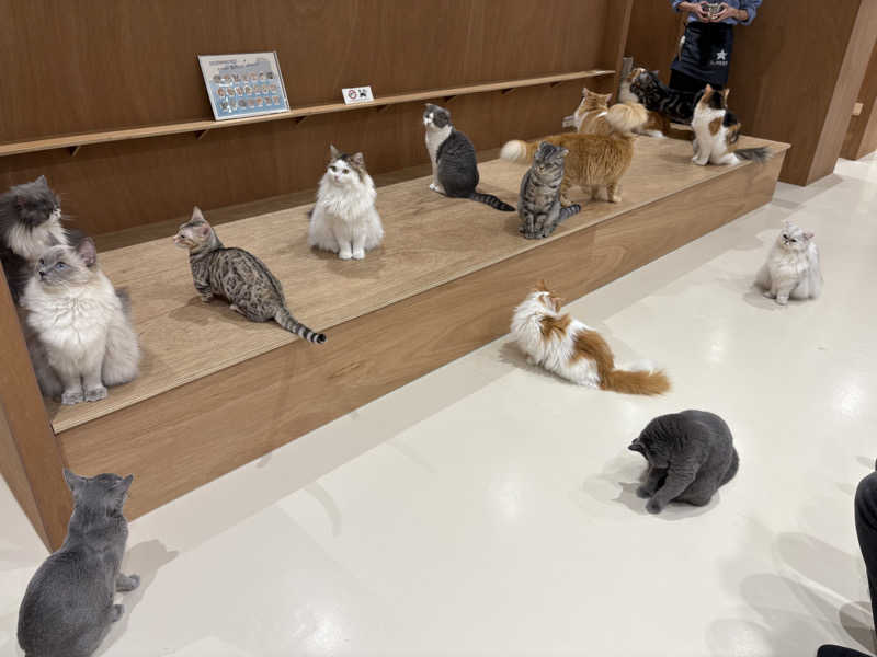 tae🐱さんの天然温泉 萩の湯 ドーミーイン仙台駅前のサ活写真