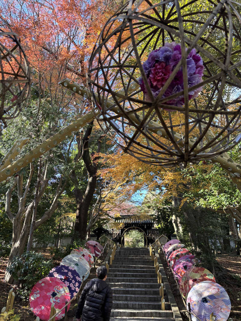 こなつーさんのよみうりランド眺望温泉 花景の湯のサ活写真