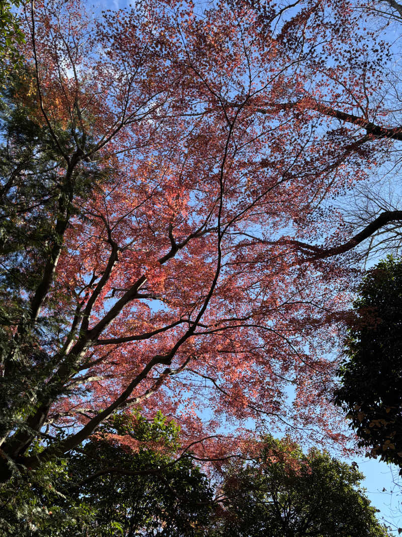 こなつーさんのよみうりランド眺望温泉 花景の湯のサ活写真