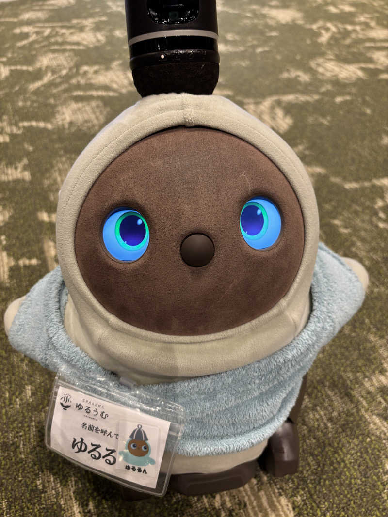 こなつーさんのSPA&ごはん ゆるうむ yuluumuのサ活写真