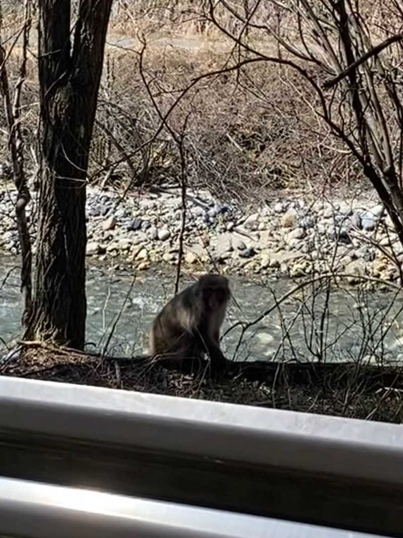 よそきちさんの林檎の湯屋 おぶ～のサ活写真