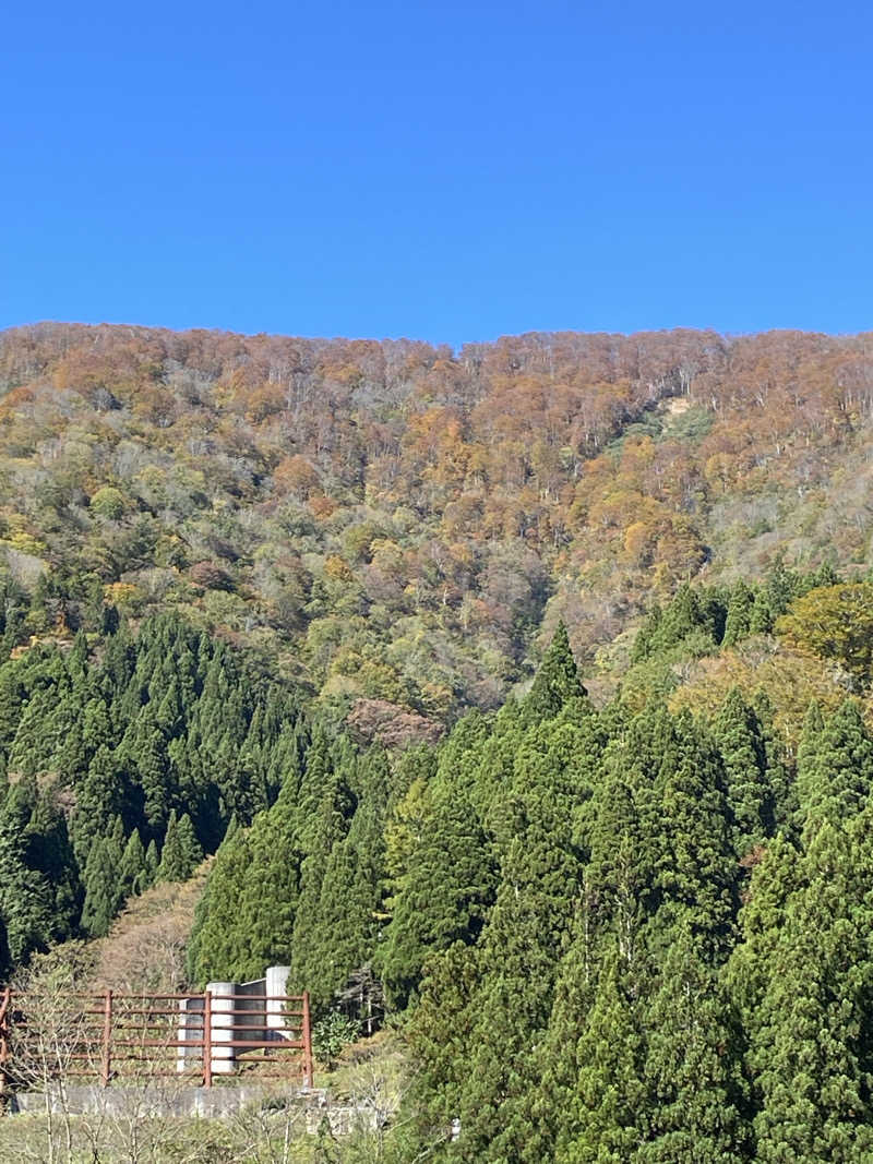 よそきちさんの天然温泉 風の森 北陸小矢部店のサ活写真