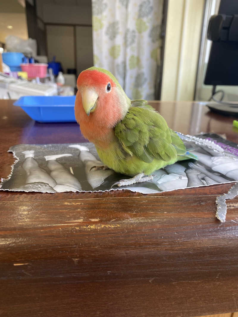 よそきちさんの里湯ちりはまのサ活写真