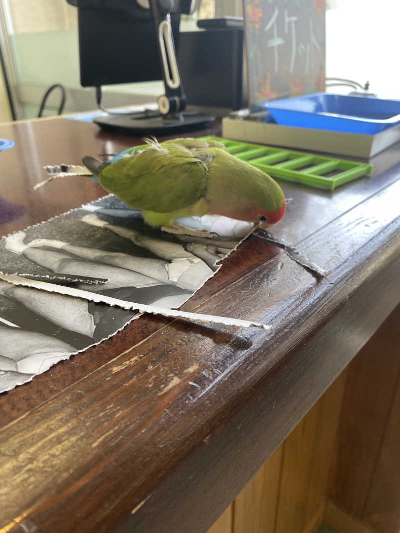 よそきちさんの里湯ちりはまのサ活写真