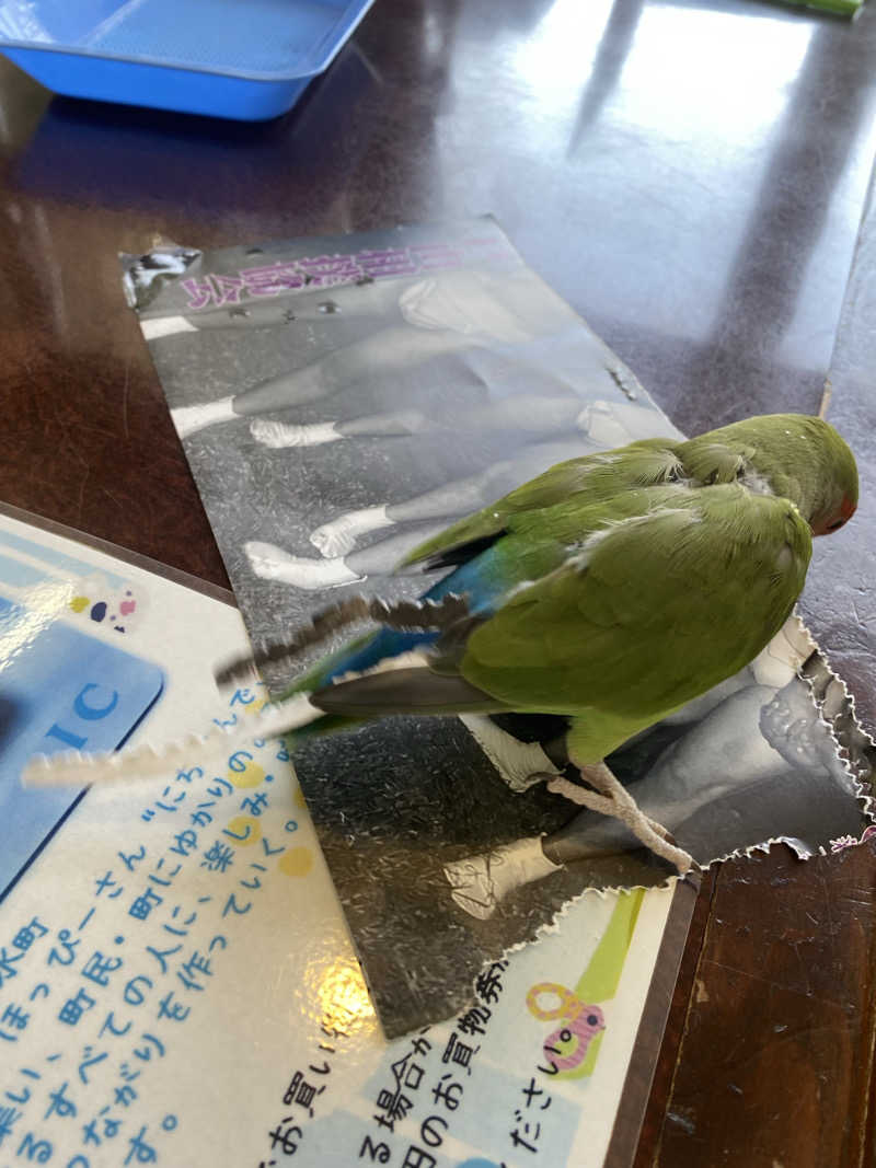 よそきちさんの里湯ちりはまのサ活写真