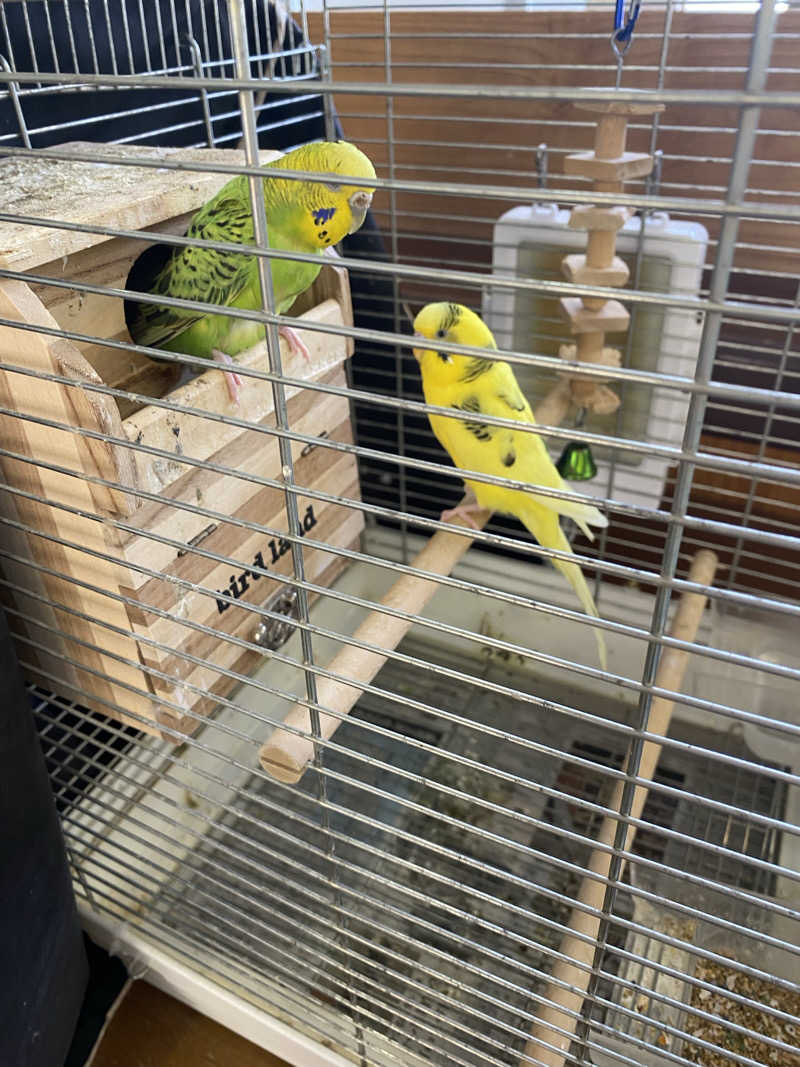 よそきちさんの里湯ちりはまのサ活写真