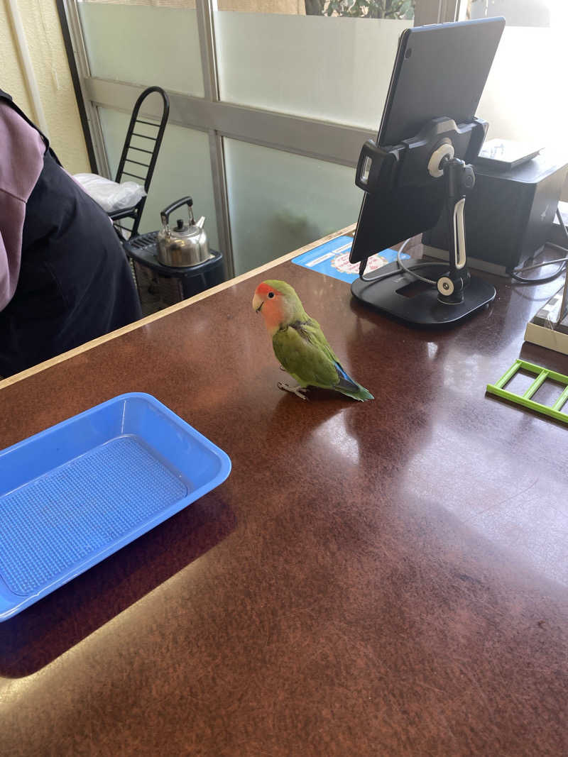 よそきちさんの里湯ちりはまのサ活写真