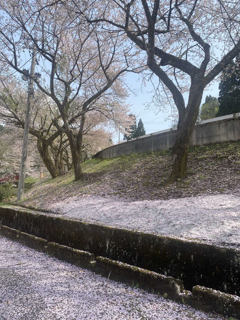 よそきちさんの福光温泉のサ活写真