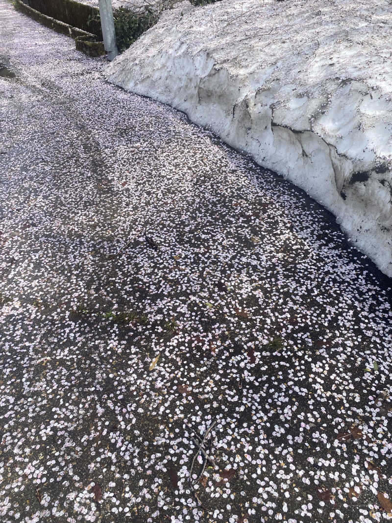 よそきちさんの福光温泉のサ活写真