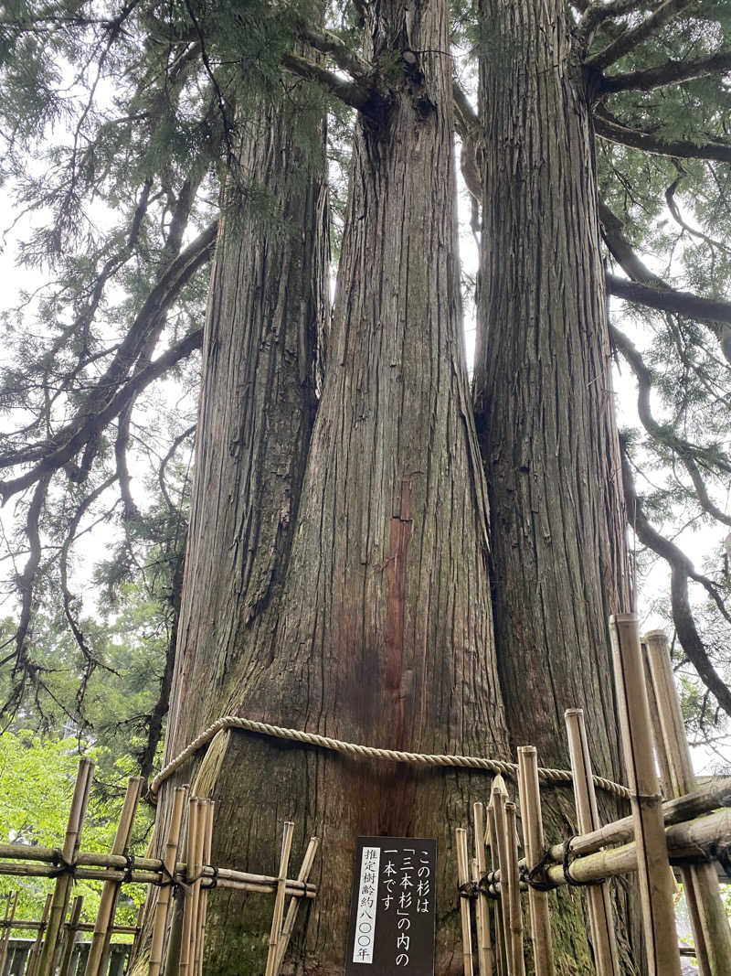 よそきちさんのThe Saunaのサ活写真