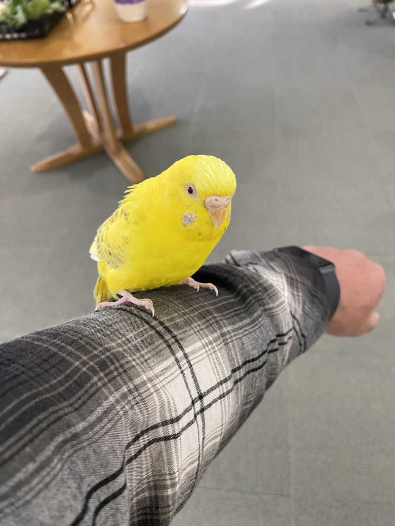 よそきちさんの里湯ちりはまのサ活写真