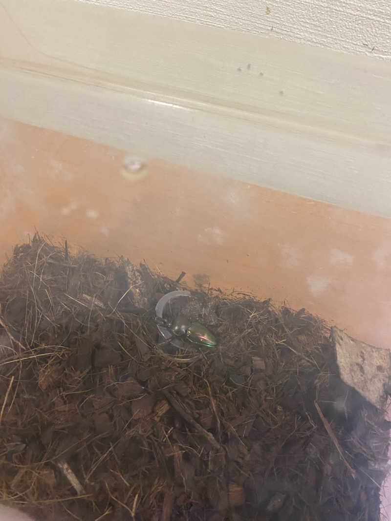 よそきちさんの里湯ちりはまのサ活写真