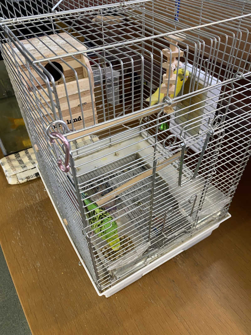 よそきちさんの里湯ちりはまのサ活写真