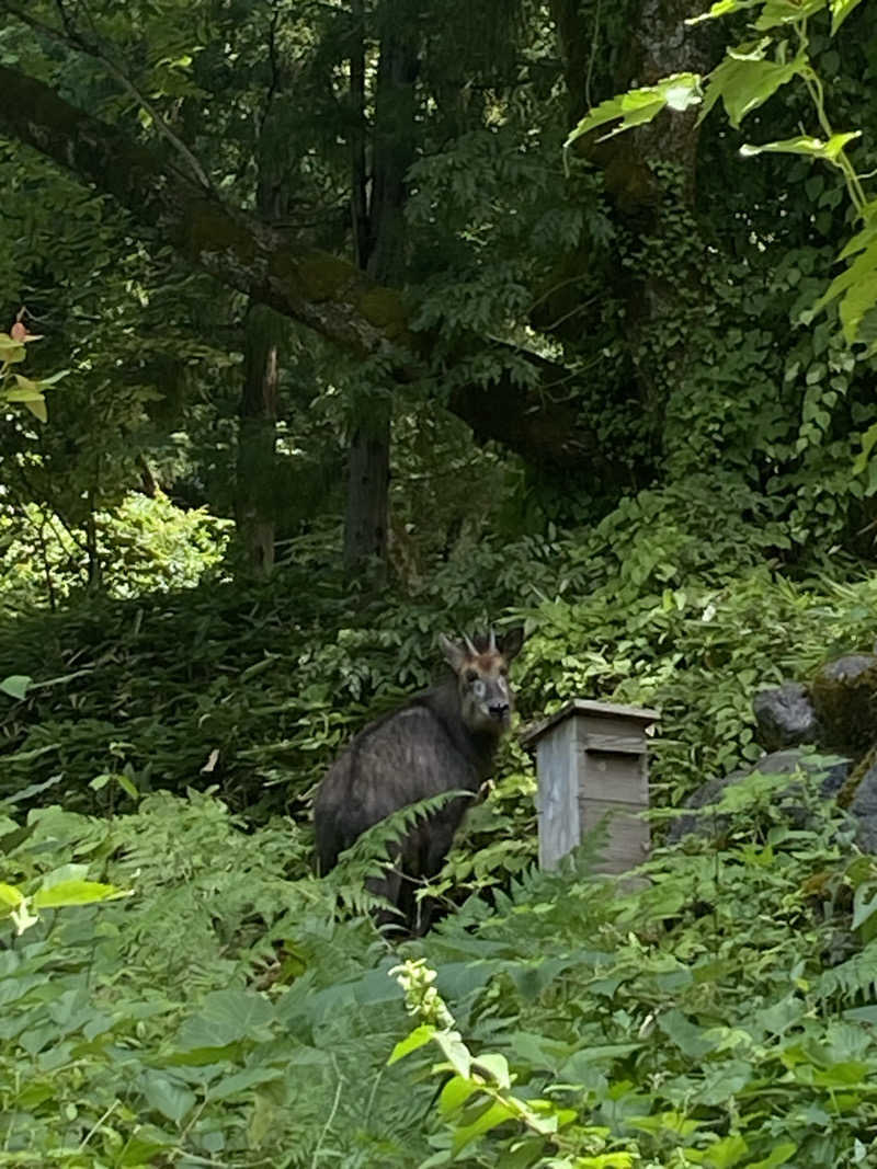 よそきちさんのみのわテニス村ファミリーハウス温泉のサ活写真
