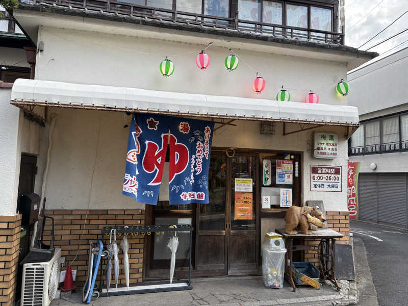 すたんさんのサウナの梅湯のサ活写真