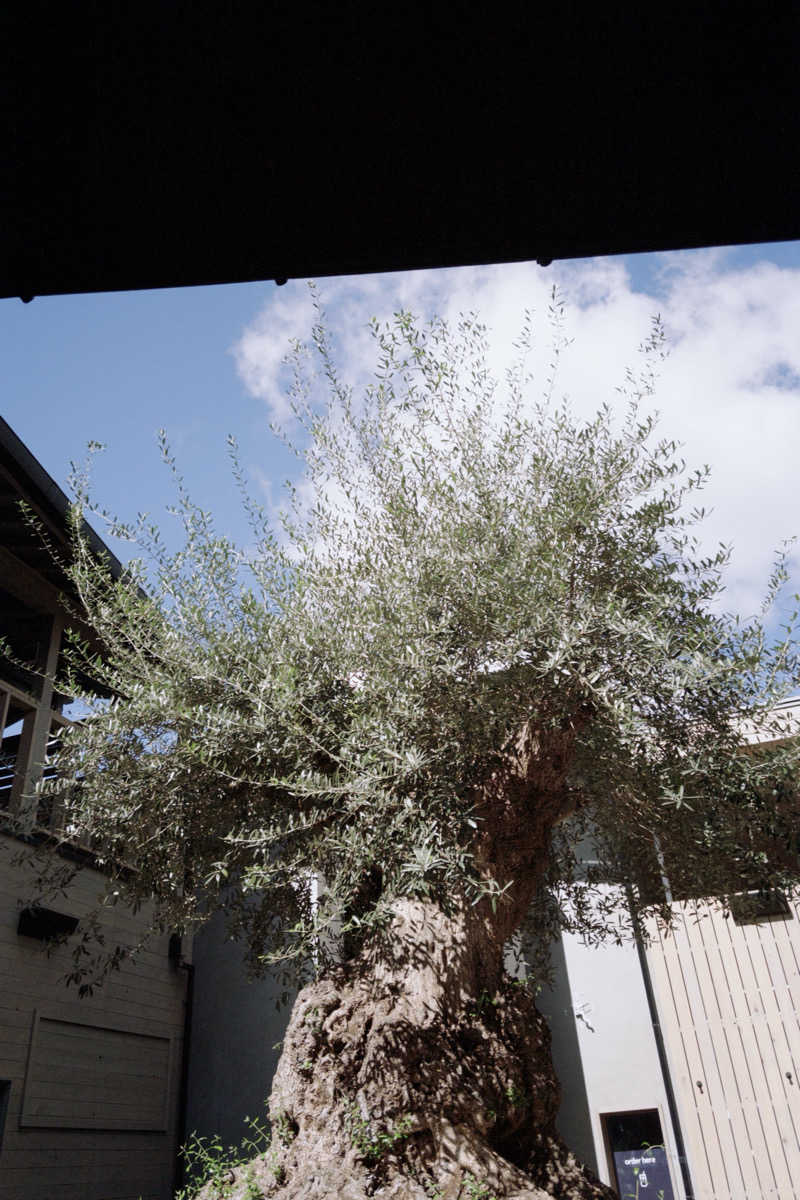 遅刻常習犯さんのsauna kolme kylä (サウナ コルメ キュラ)のサ活写真