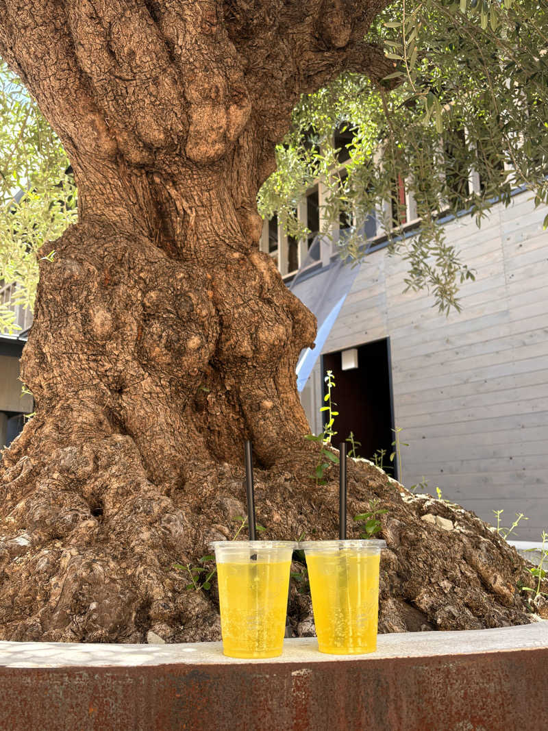 遅刻常習犯さんのsauna kolme kylä (サウナ コルメ キュラ)のサ活写真