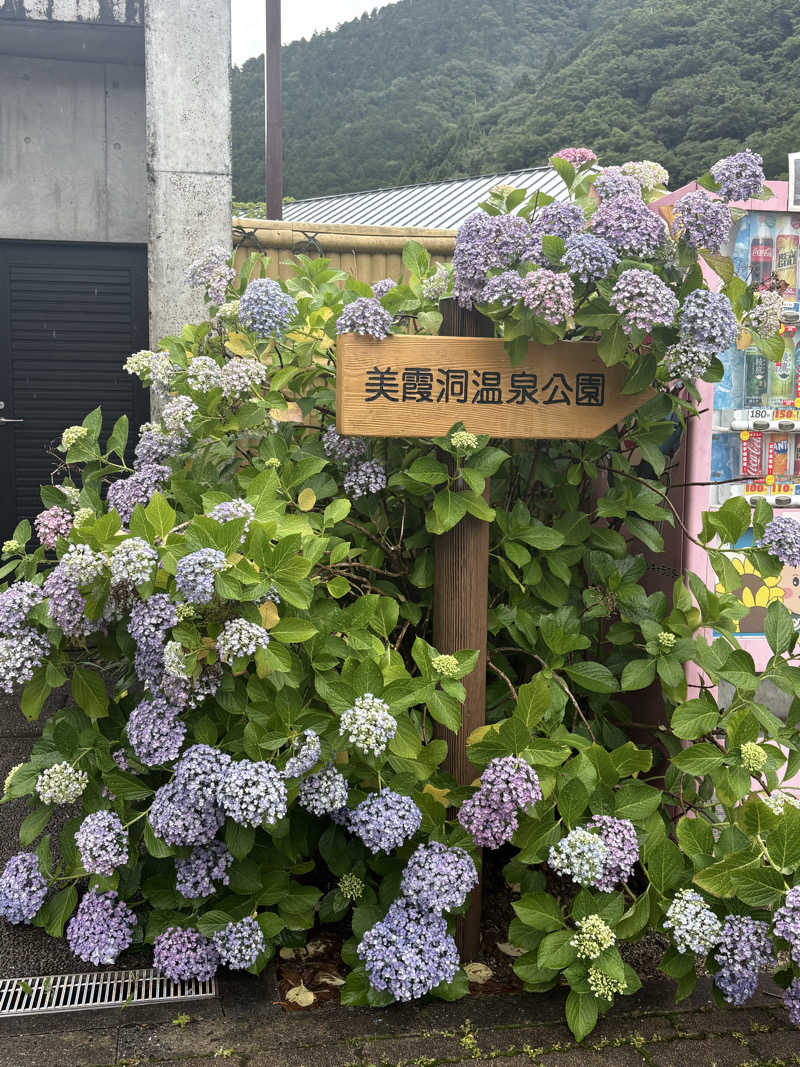 遅刻常習犯さんの神山温泉ホテル四季の里&いやしの湯のサ活写真