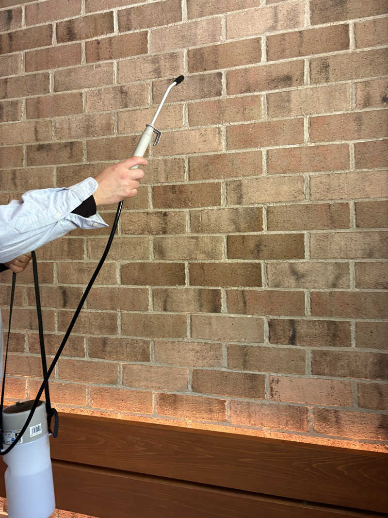 みっちさんのTHE W Relax Garden Resortのサ活写真