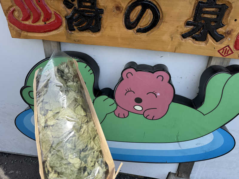 熱波坊主さんの湯乃泉 東名厚木健康センターのサ活写真