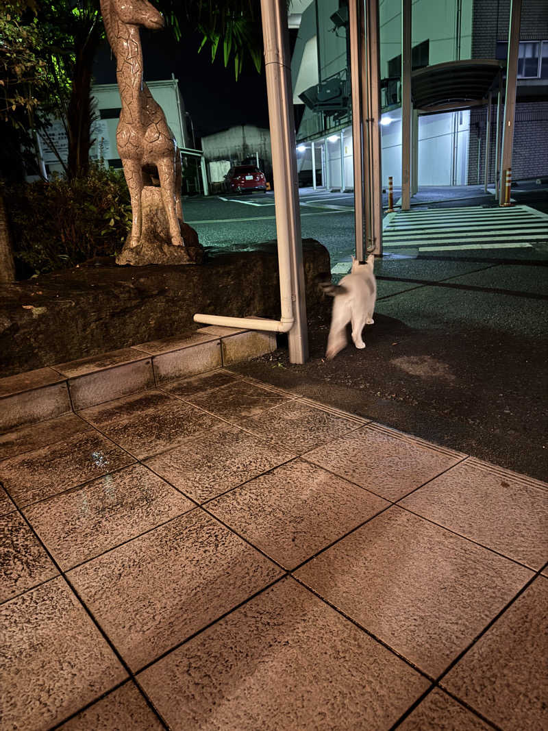 熱波坊主さんの金剛の湯 リバーサイドホテルのサ活写真