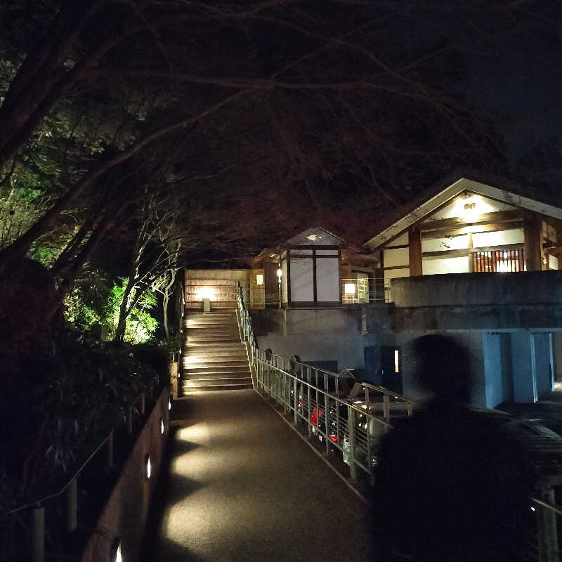 micropigさんの天山湯治郷 ひがな湯治 天山のサ活写真