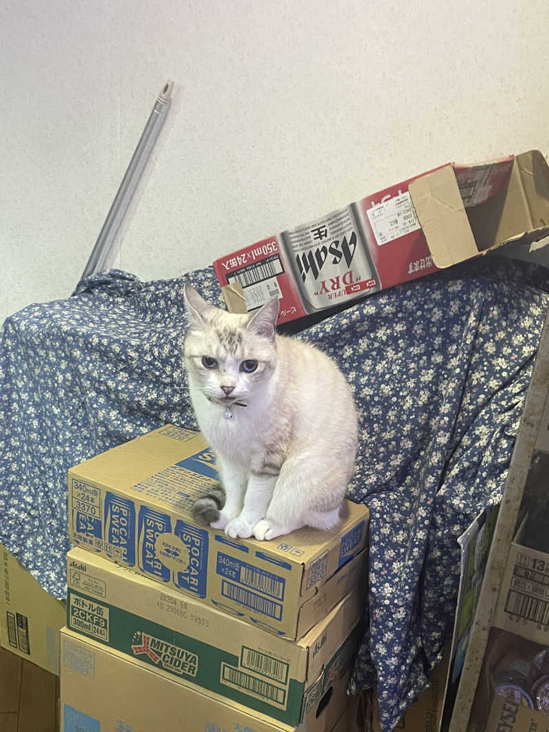 サウ山さんのお湯どころ野川のサ活写真