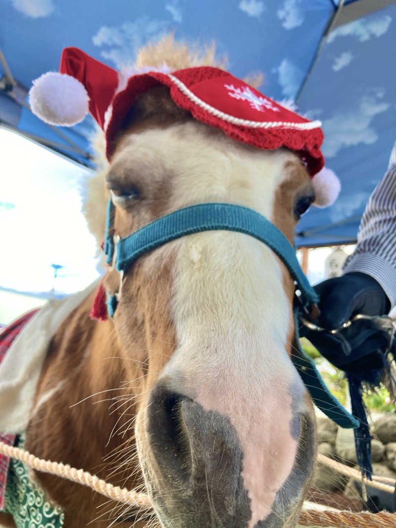 Yukaさんのととのいの郷 秦野湯花楽のサ活写真