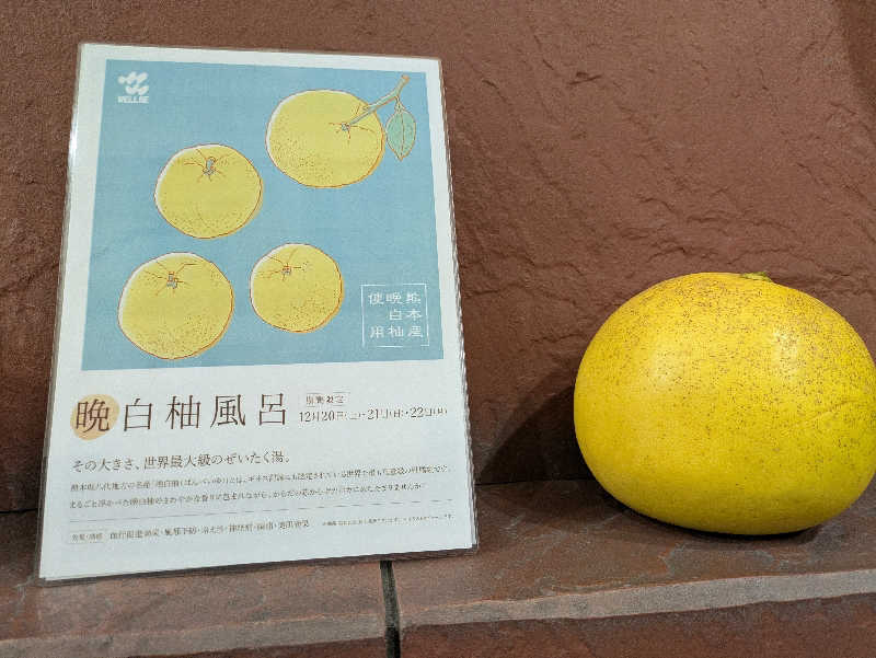 mreoさんのウェルビー栄のサ活写真