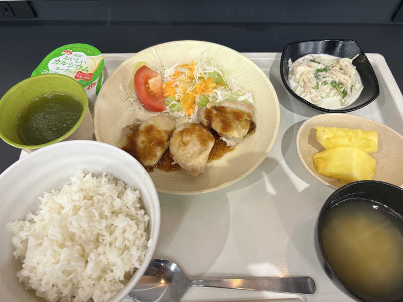 疲労回復したいさんの豊田挙母温泉 おいでんの湯のサ活写真