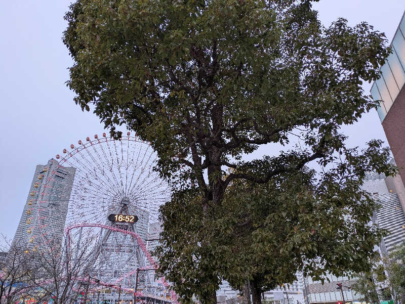 Yokoさんの横浜みなとみらい 万葉倶楽部のサ活写真