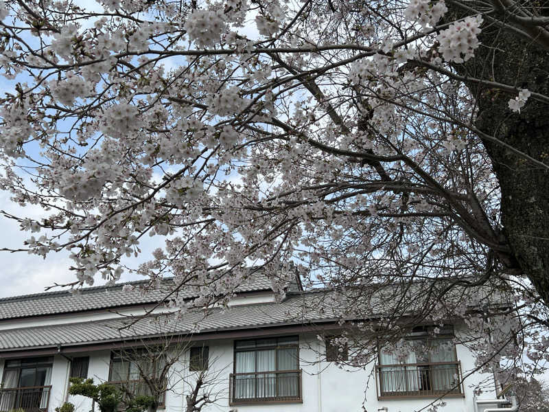 西那須野ジョガーさんの七沢荘のサ活写真