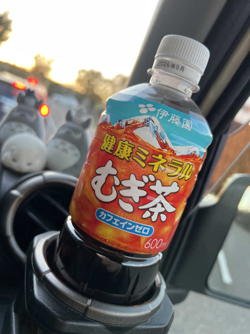 きむちさんの岐阜各務原 恵みの湯のサ活写真