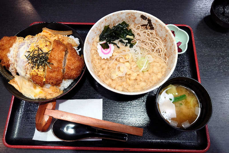 haya_neko3(はやねこ)さんのスパ&カプセル ニューウイングのサ活写真