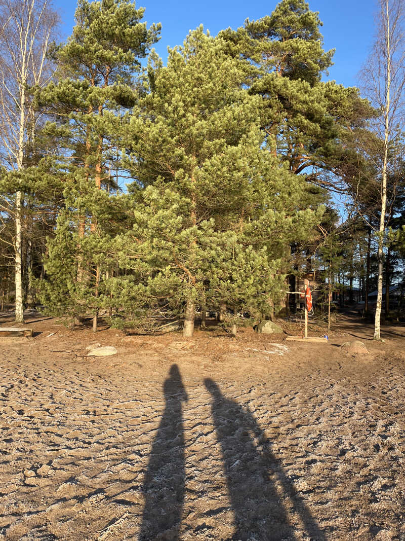 カナヘイさんのSompasaunaのサ活写真