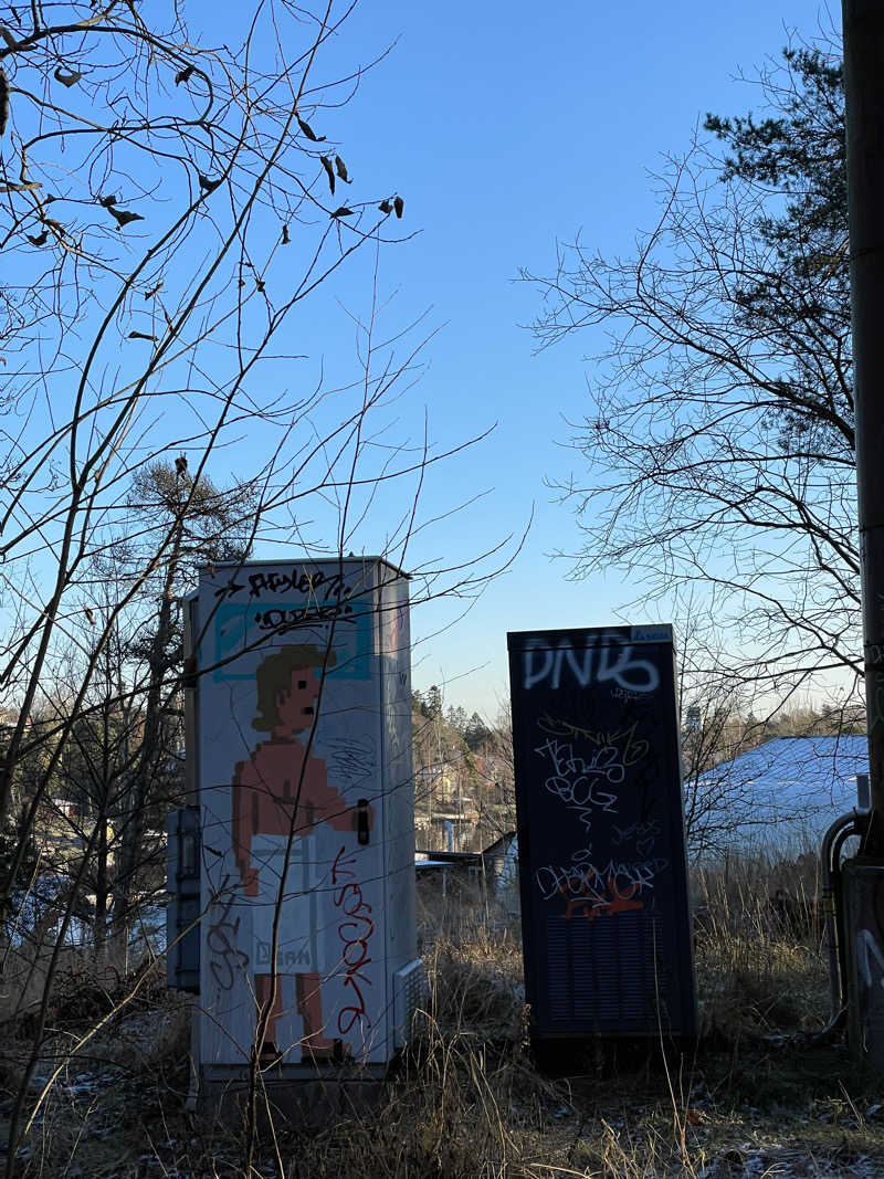 カナヘイさんのSompasaunaのサ活写真