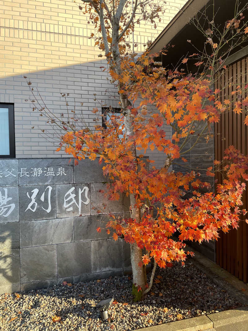 セッキー、やサ活始めたってよさんの花湯別邸のサ活写真